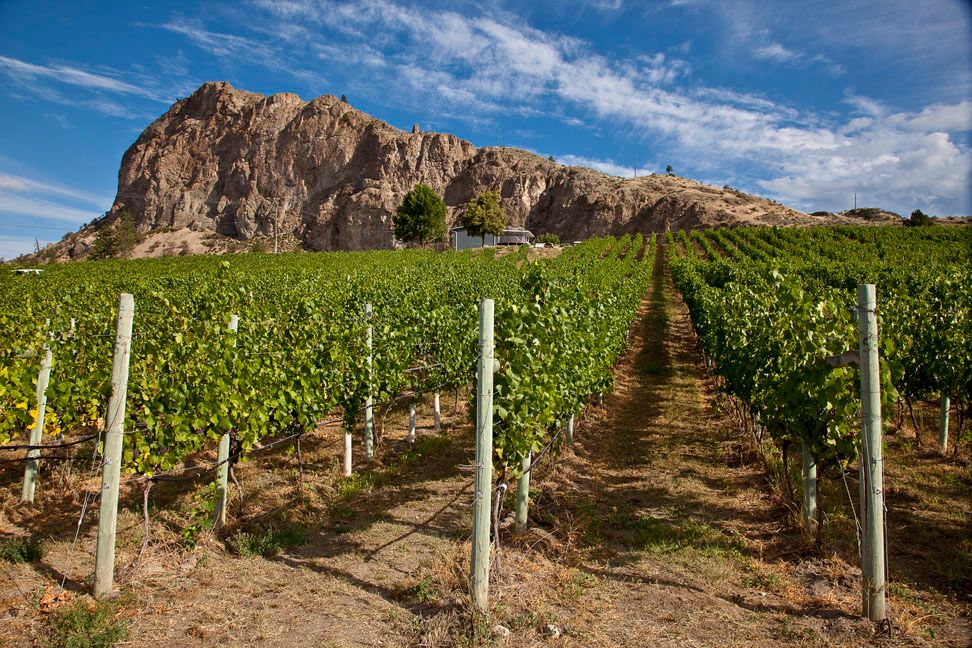 Meyer Family Vineyards