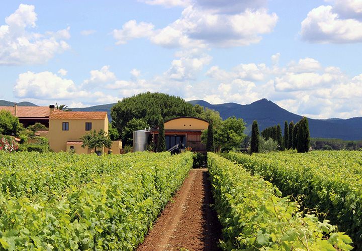 Terre Del Marchesato Bolgheri