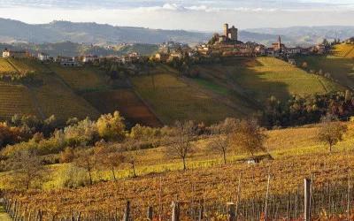 Alessandro Rivetto Winery
