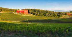 Caiarossa Estates