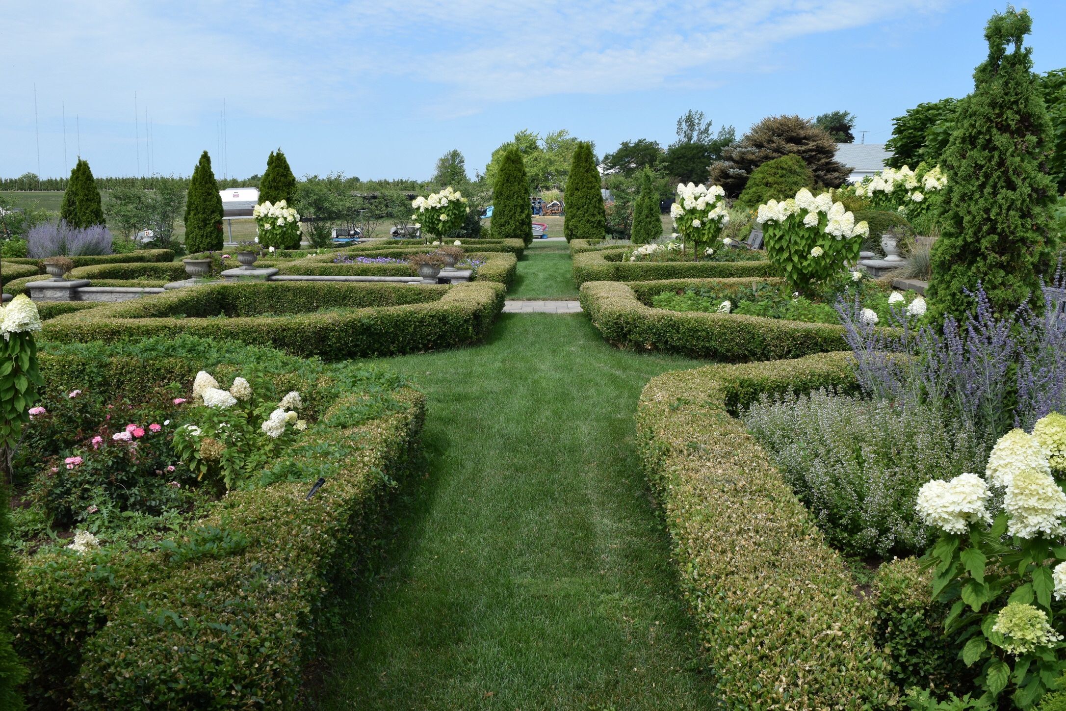Commisso Estate Winery