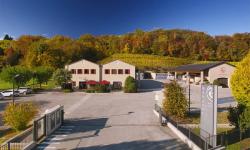 Le Manzane Winery
