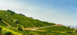 Fortemasso Winery