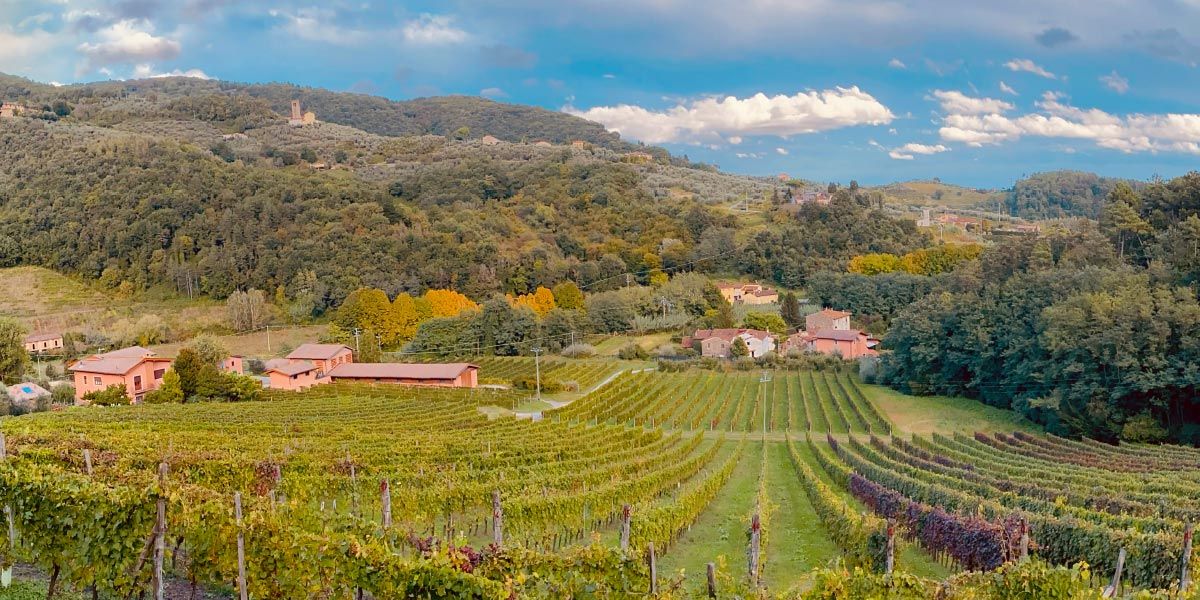 Tenuta Adamo