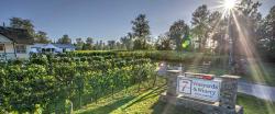 Township 7 Winery