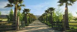 Kingston Family Vineyards