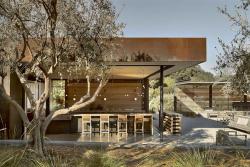 Booker Vineyard