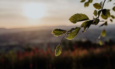 A Better Way to Approach Assessment Feedback