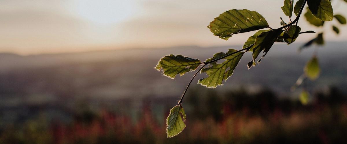 A Better Way to Approach Assessment Feedback