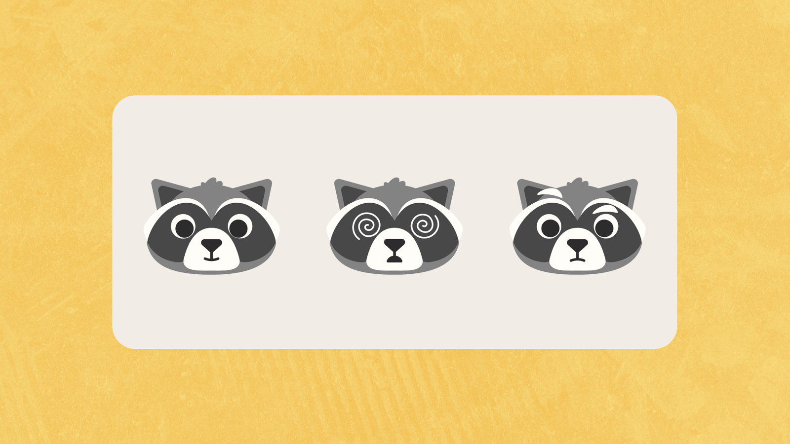 3 raccoons with different expressions