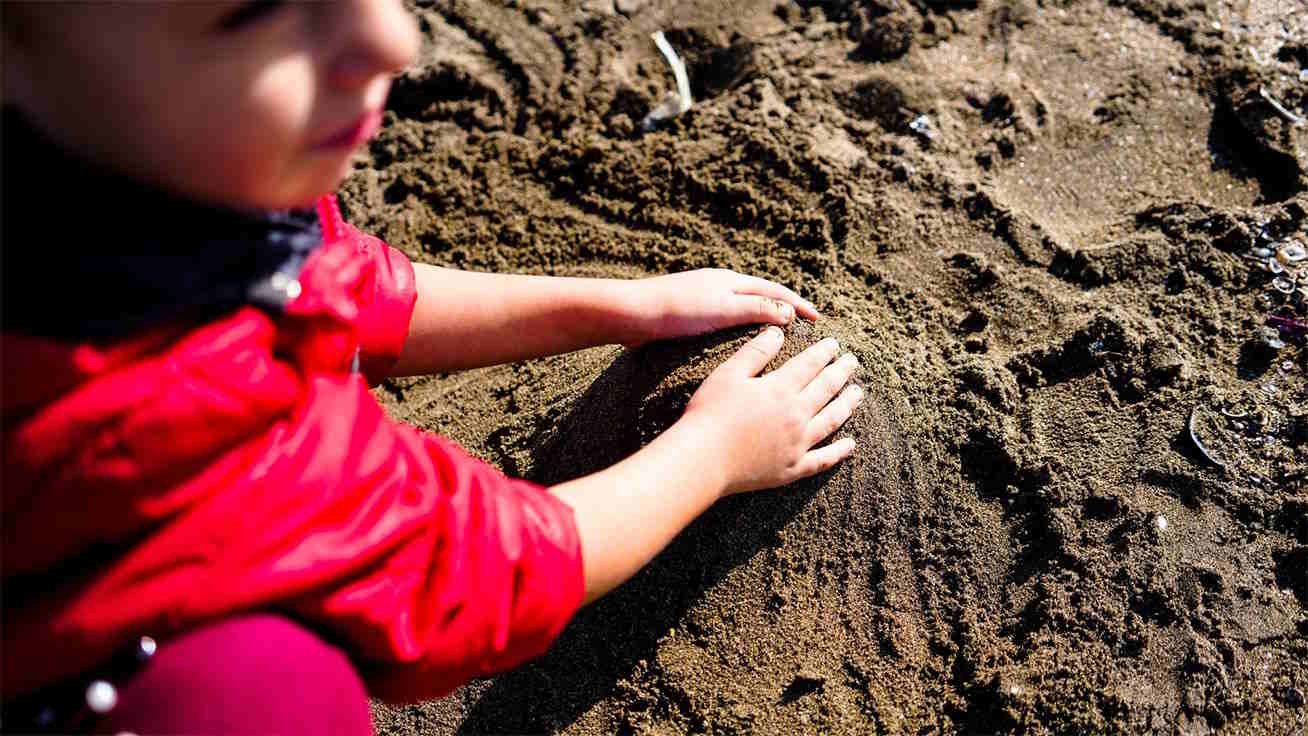 Prokino De Holle Boom, bso