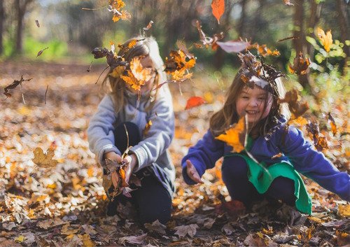 Kinderen in het bos