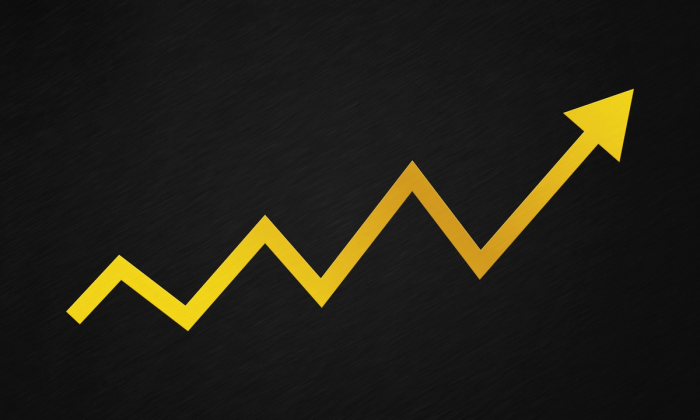 Run These 4 RCM Reports to Improve Financial Performance