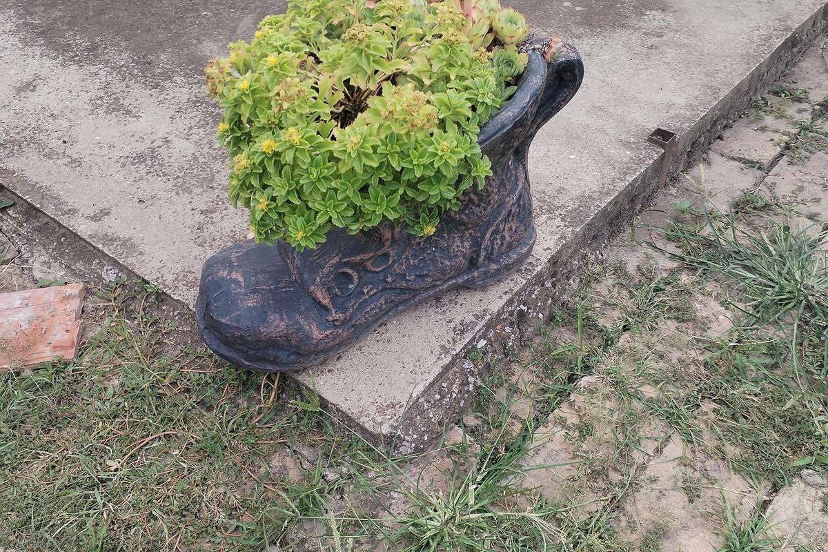 Seoska kuća sa imanjem