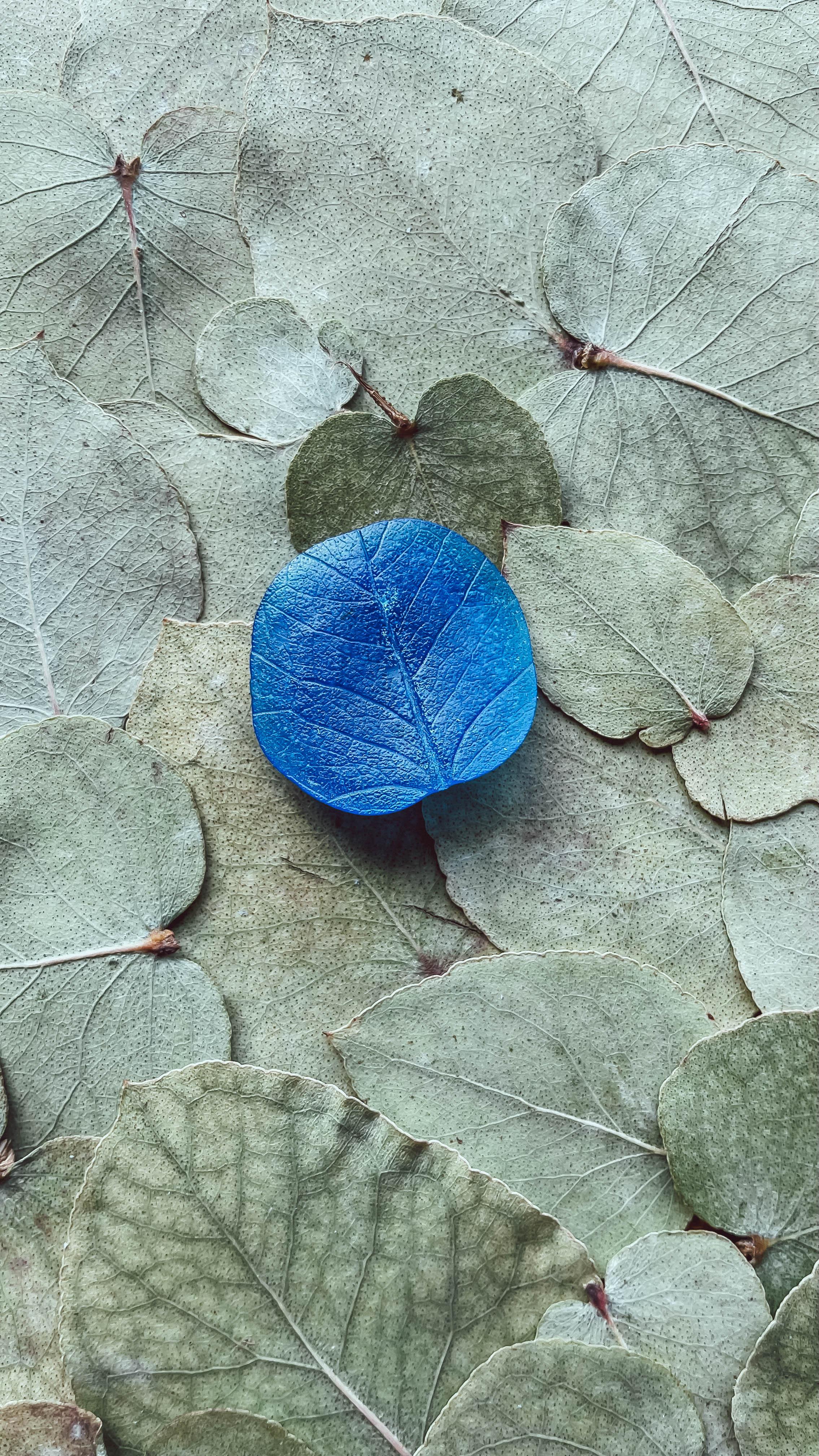 Eucalyptus Pendant