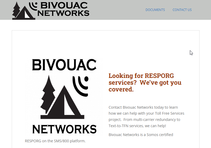 Bivouac Networks LLC Website Screenshot