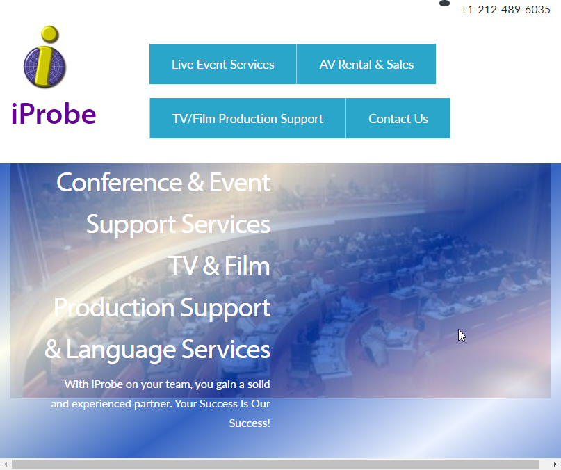 iProbe Multilingual Solutions Website Screenshot