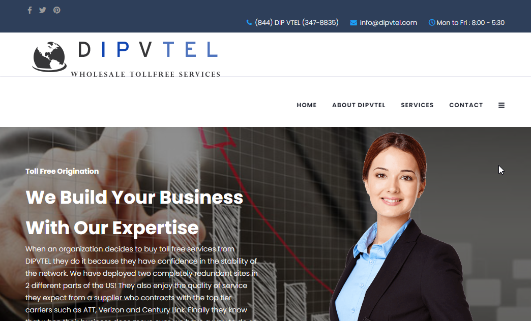 DIPVTEL Website Screenshot