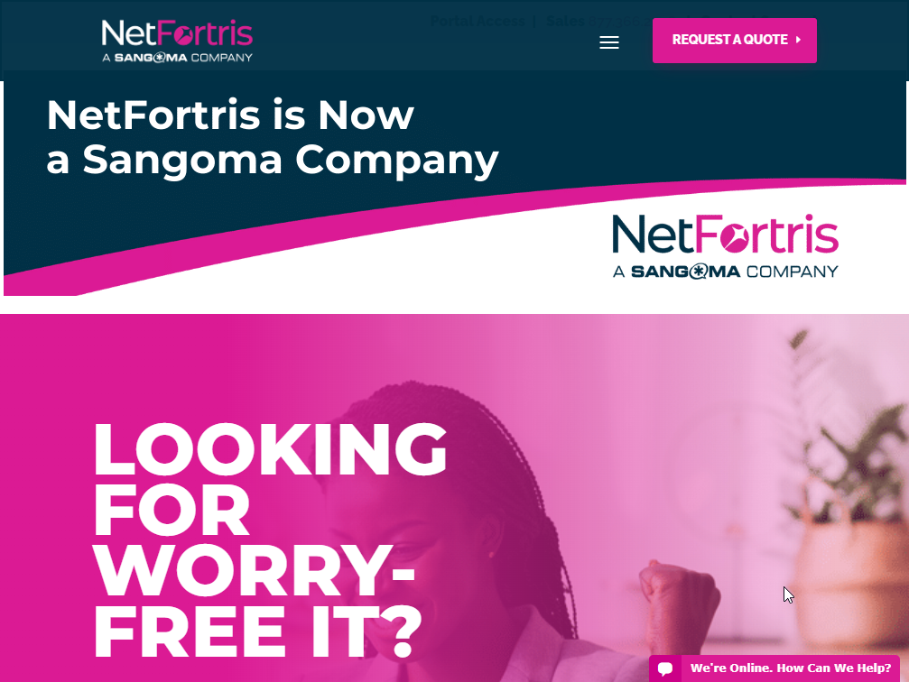 NetFortris Website Screenshot