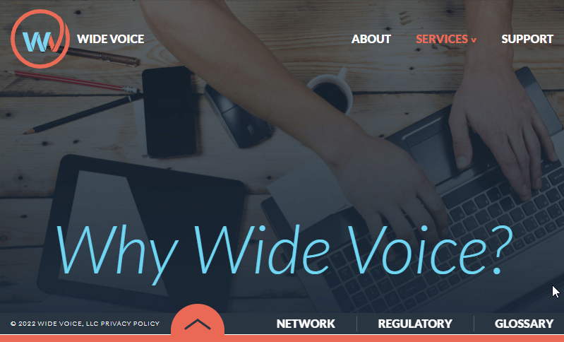 Wide Voice Website Screenshot