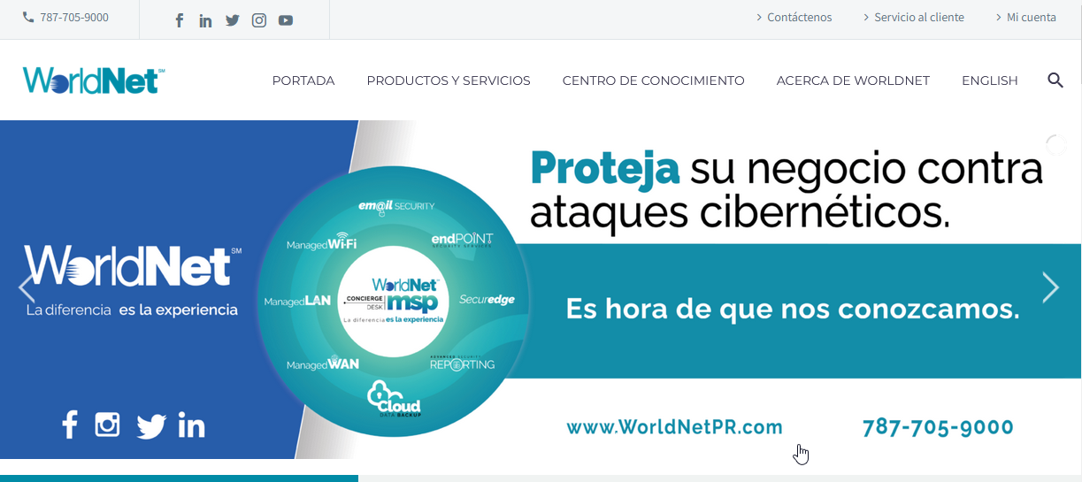 Worldnet Telecom Website Screenshot