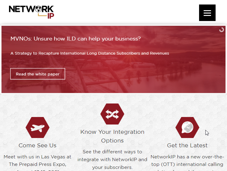 NetworkIP Website Screenshot
