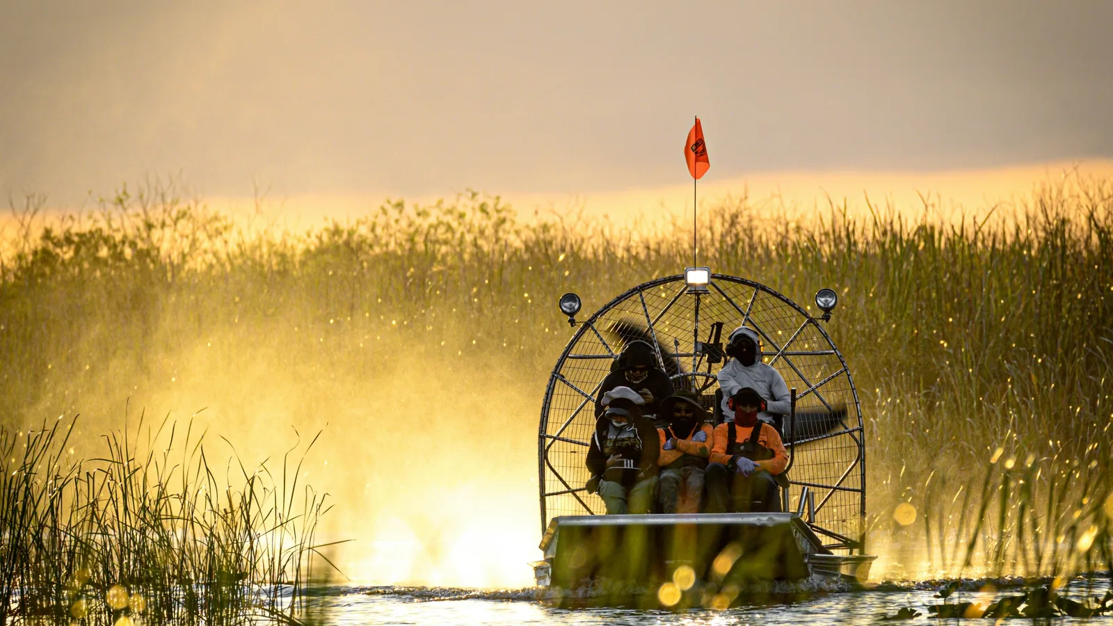Everglades is one of Florida’s most remarkable national parks.