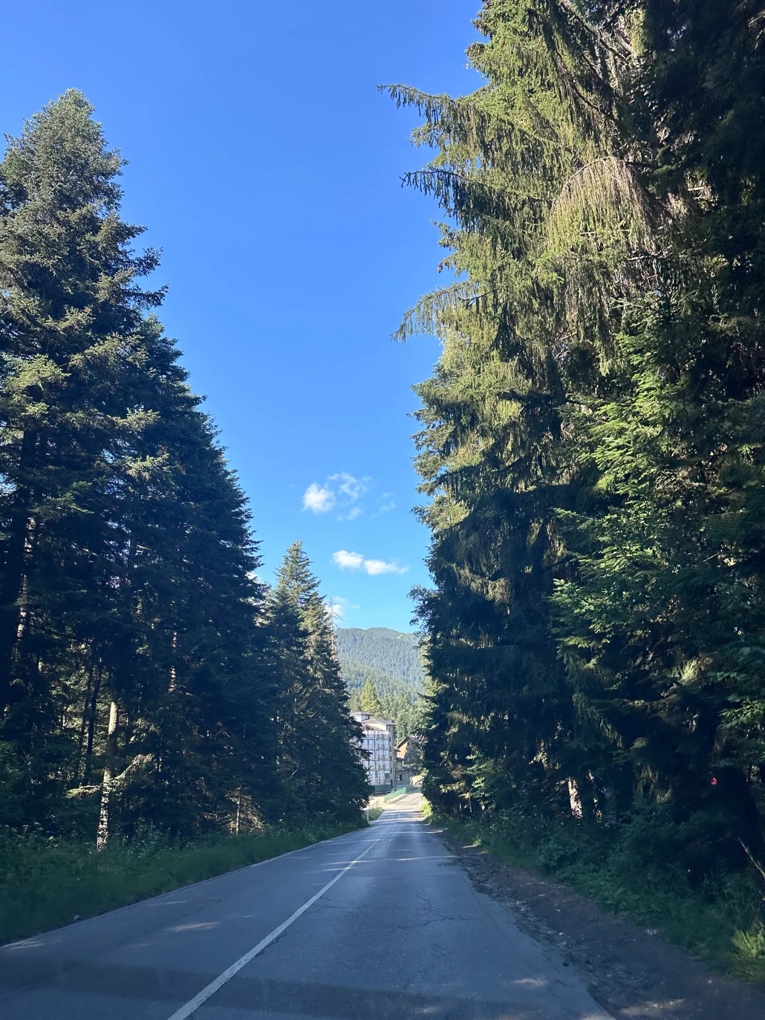 Travel photo