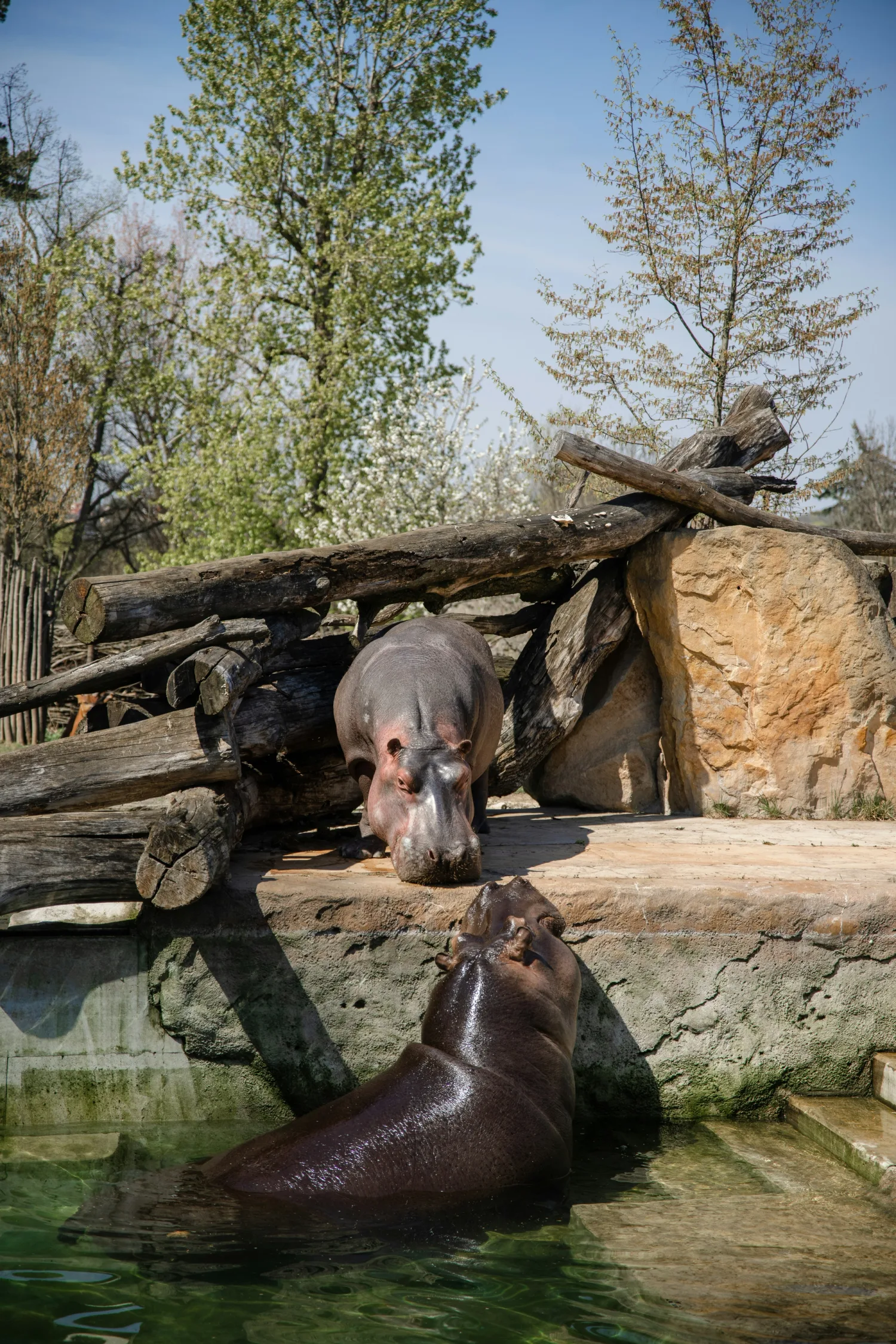 Fotografie z cest