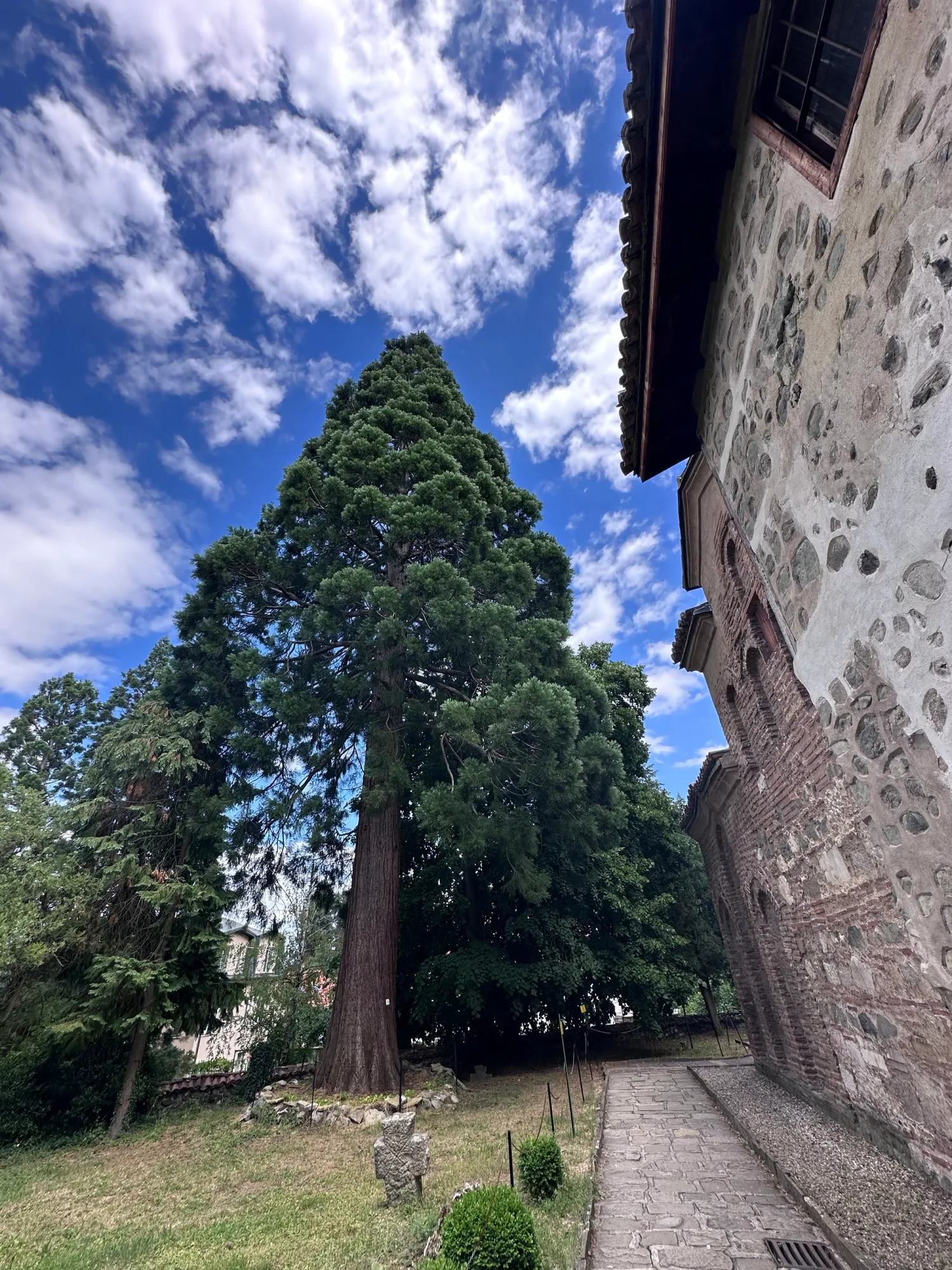 Travel photo