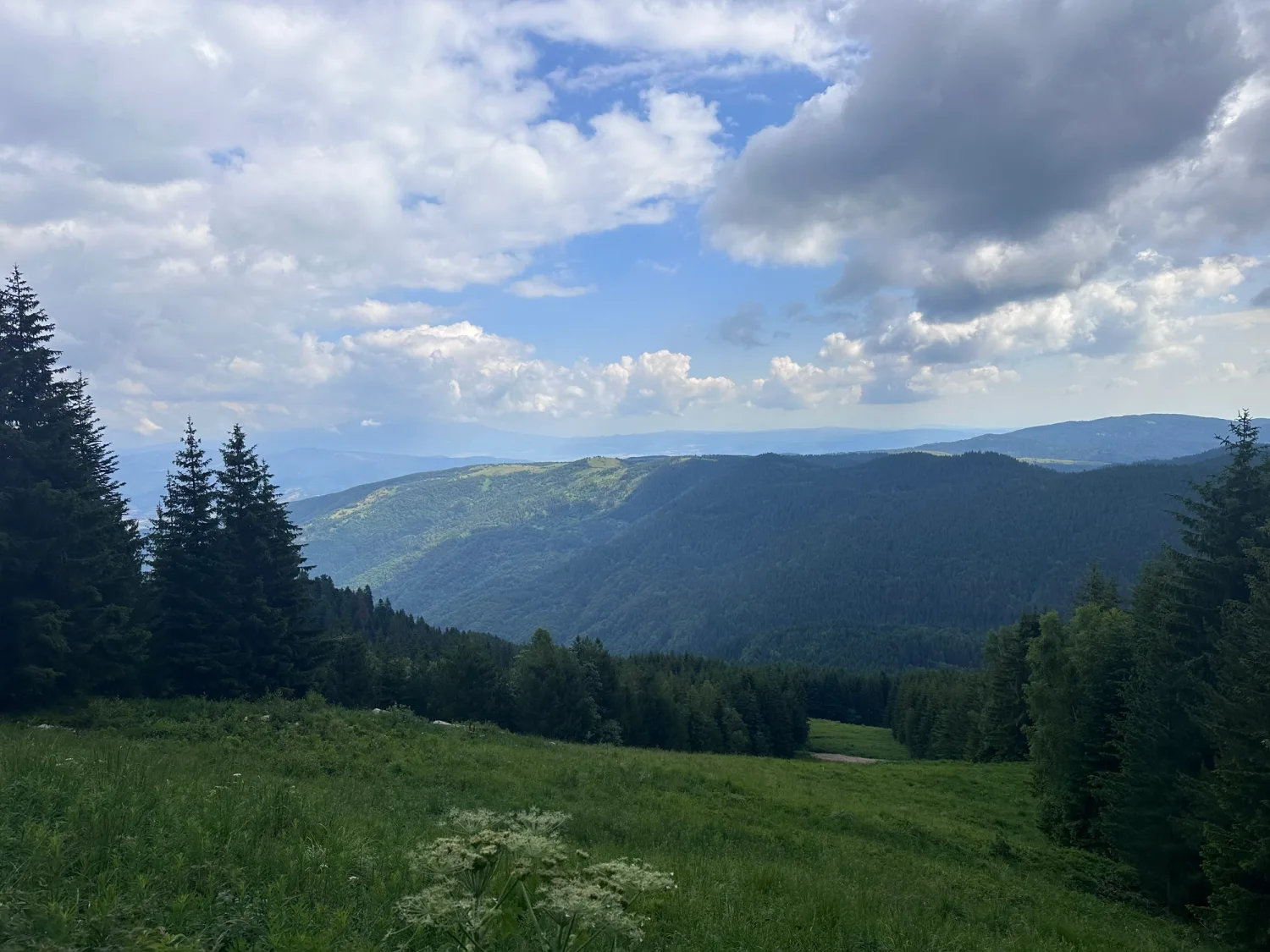 Travel photo