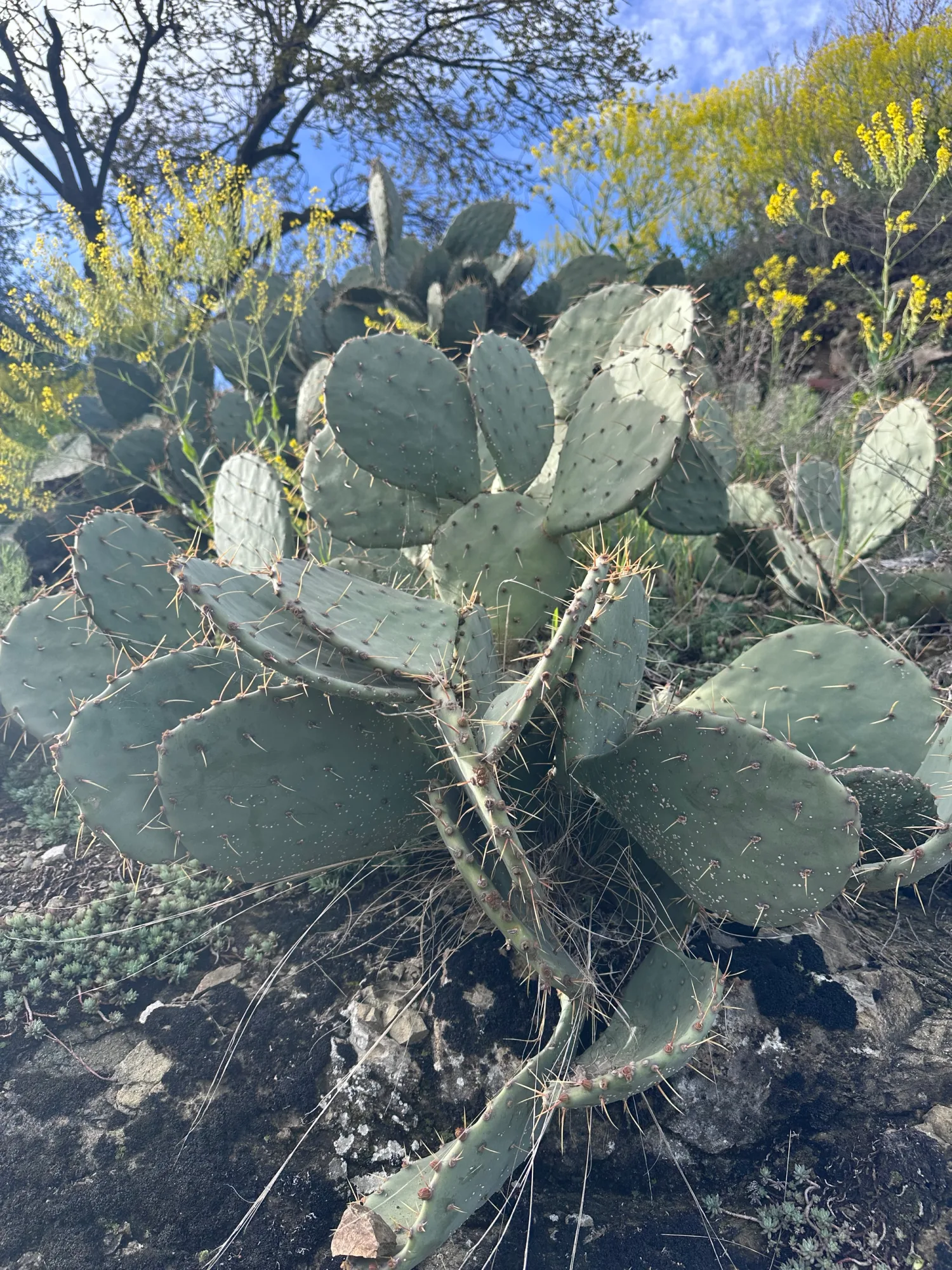Botanická zahrada 