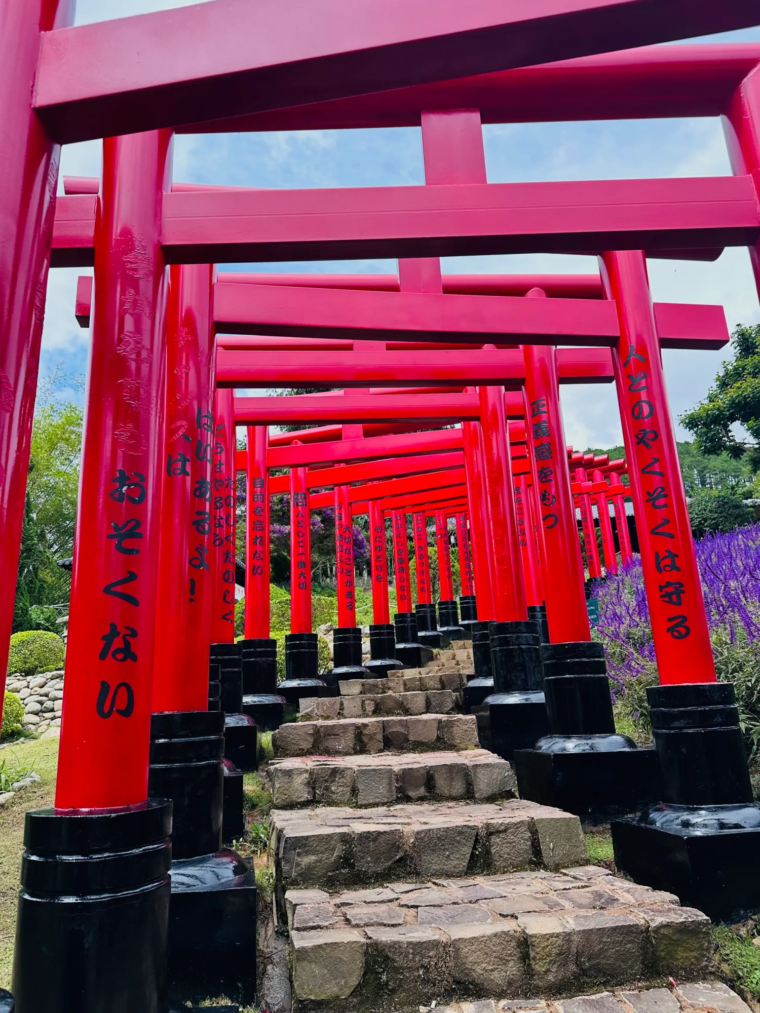 Japonská zahrada 