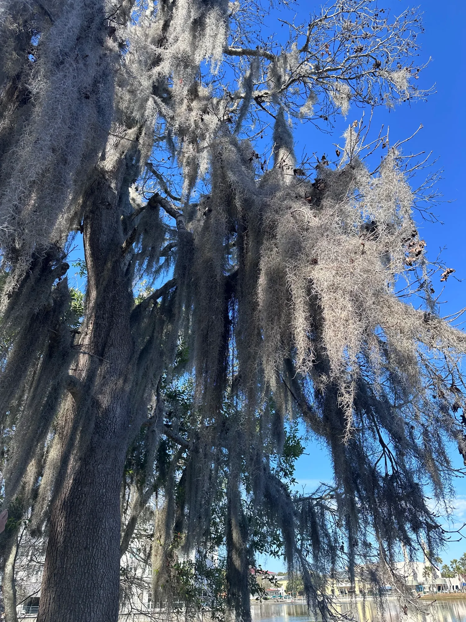 Travel photo