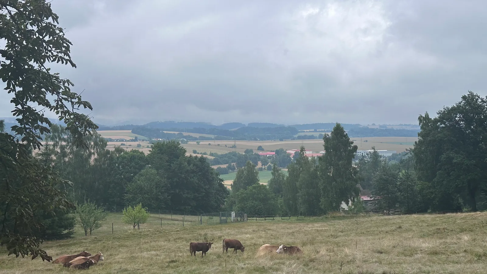 Tajemný okruh Hruboskalskem: zámek Hrubá Skála a vyhlídka Na Kapelu