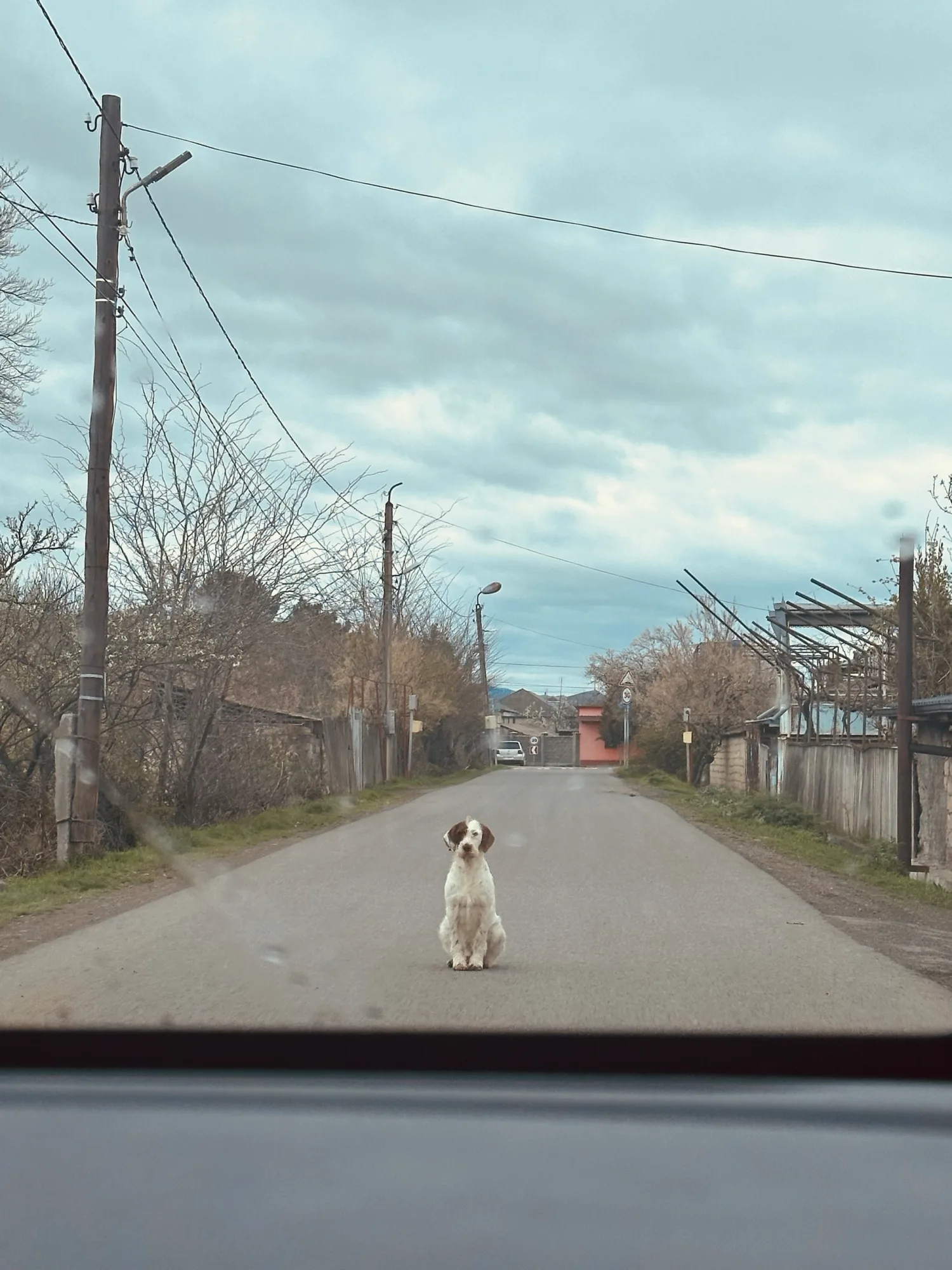 Travel photo