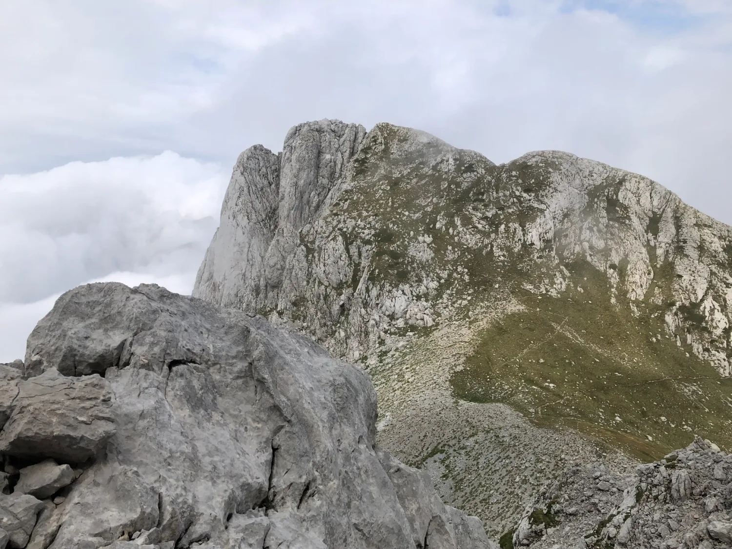 Zelená Glava 