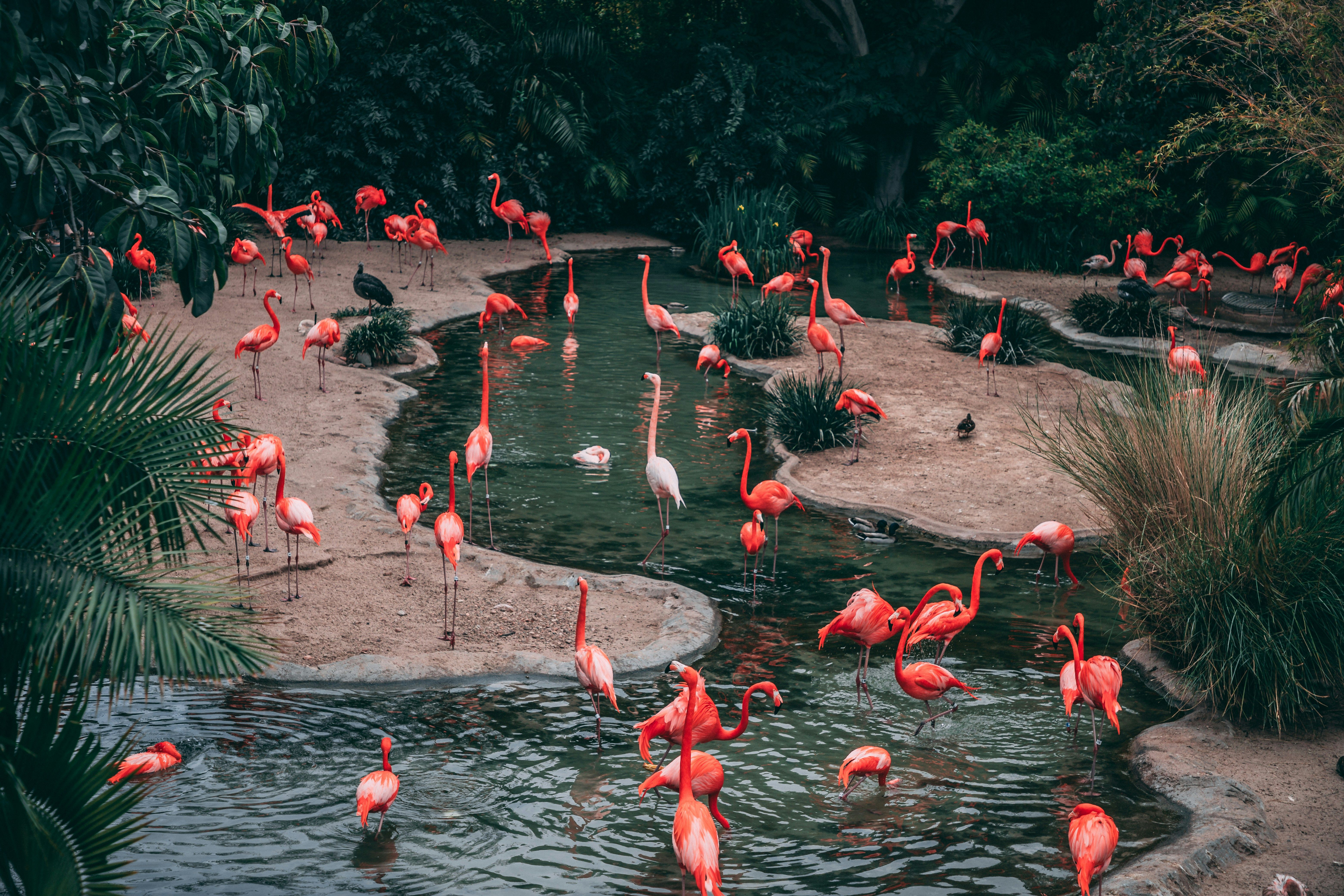 Která zoo v Česku stojí za návštěvu? Srovnali jsme 7 zoo, které jsme navštívili