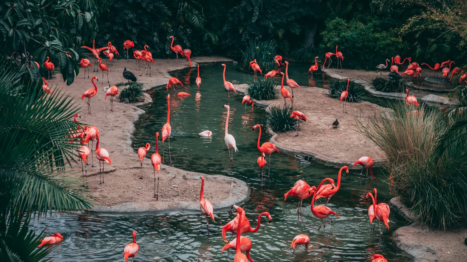 Která zoo v Česku stojí za návštěvu? Srovnali jsme 7 zoo, které jsme navštívili