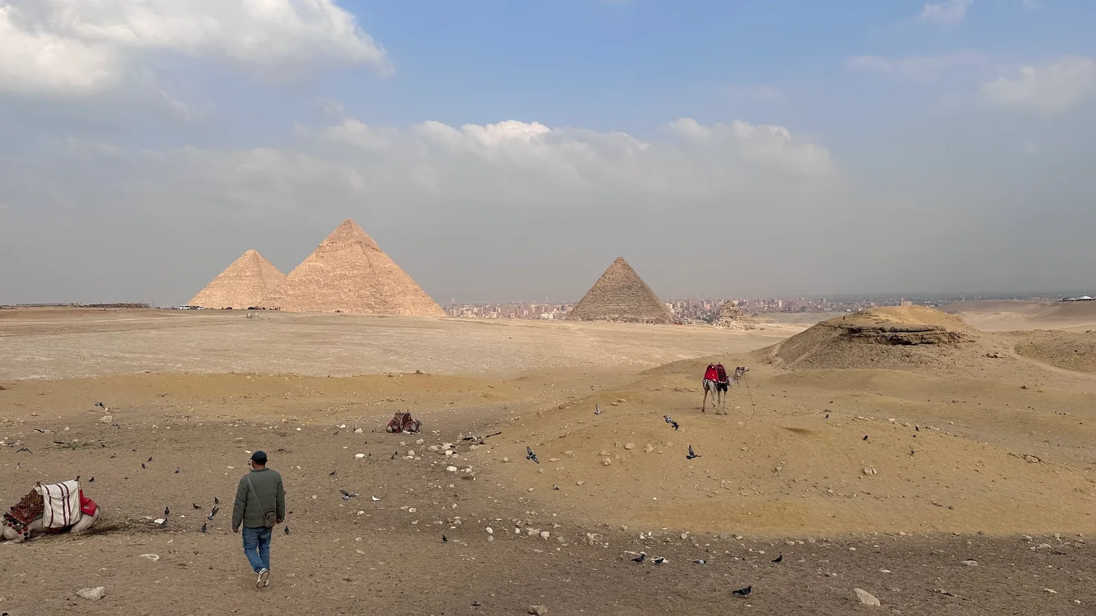 Káhira na vlastní pěst: pyramidy v Gíze, staré Egyptské muzeum, centrum, doprava, letenky, místní jídlo a praktické tipy.
