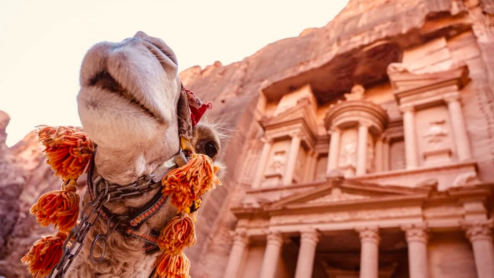 Magical Jordan will enchant everyone. I highly recommend purchasing the so-called Jordan Pass. You will save a significant amount on entrance fees to the sights. Plus, it doubles as a visa.