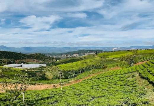Jižní Vietnam - putování za skvělým jídlem, historií války ve Vietnamu, přírodu a čajovými a kávovými plantážemi.
