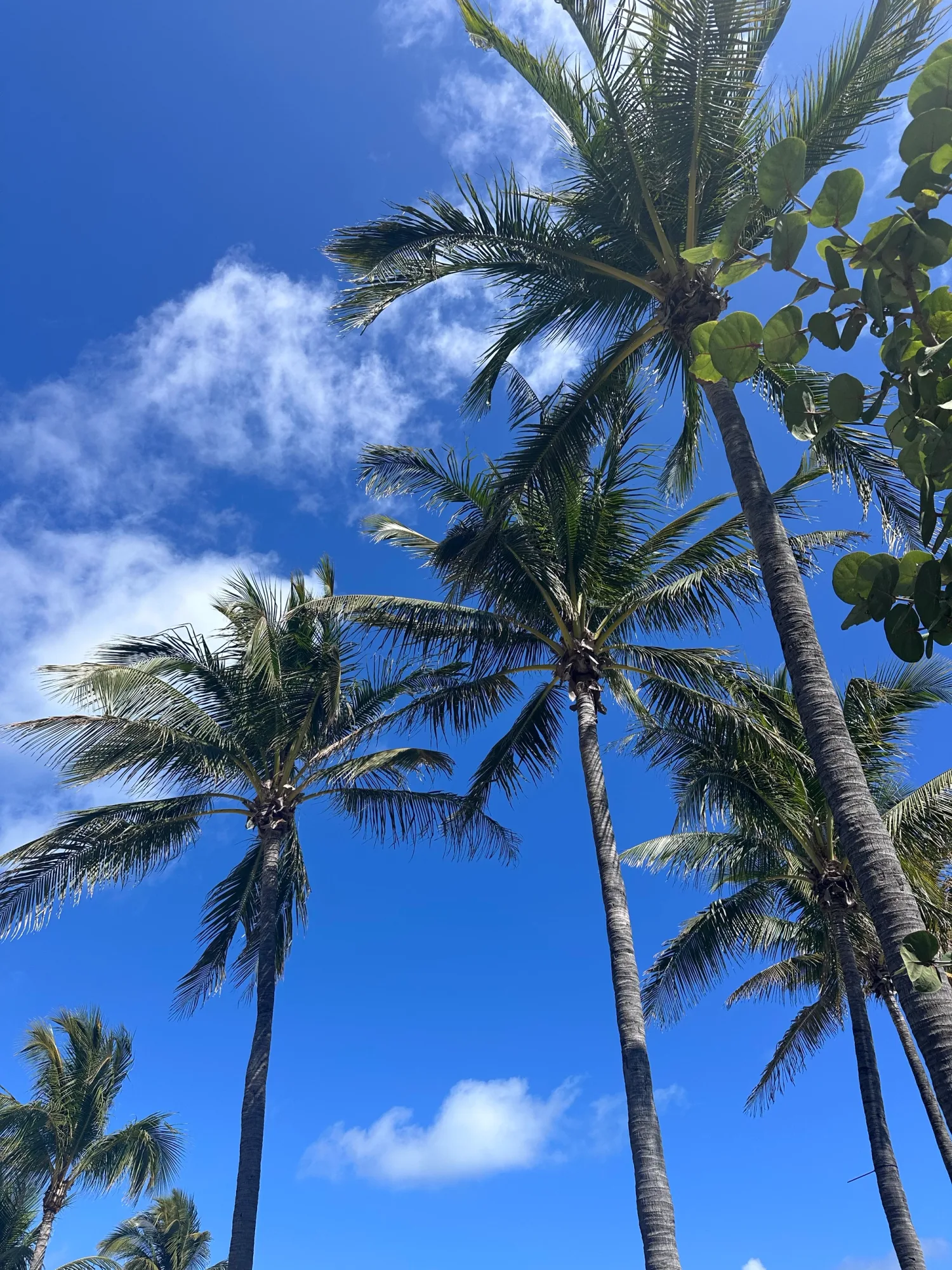 Travel photo