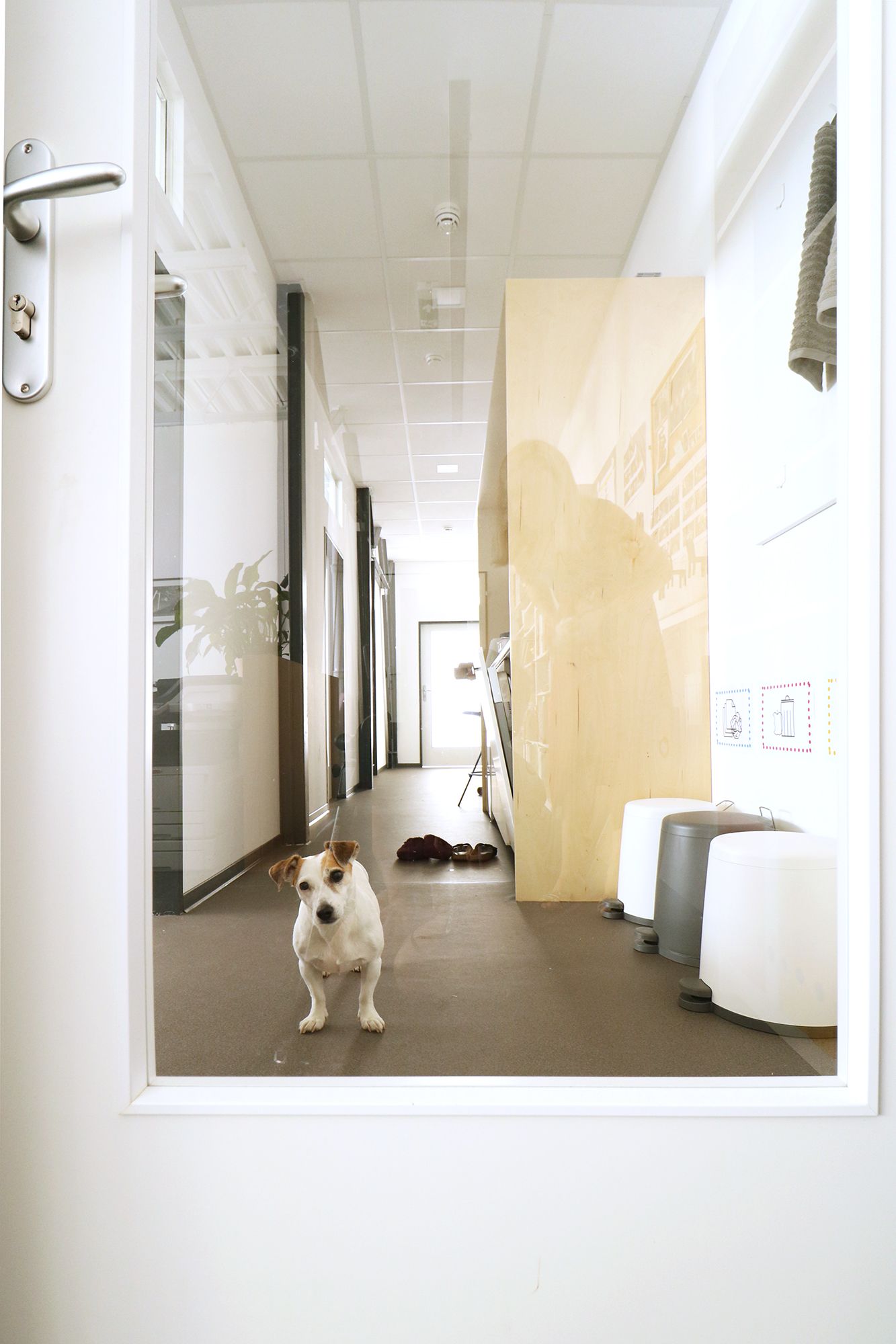 Interiér kancelárií Gajova - Image 8