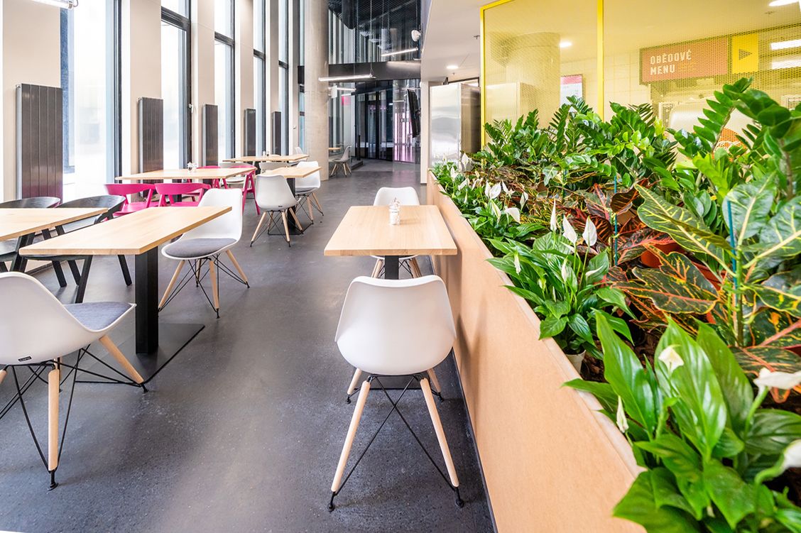 Kantína Obederia II. - Image 5