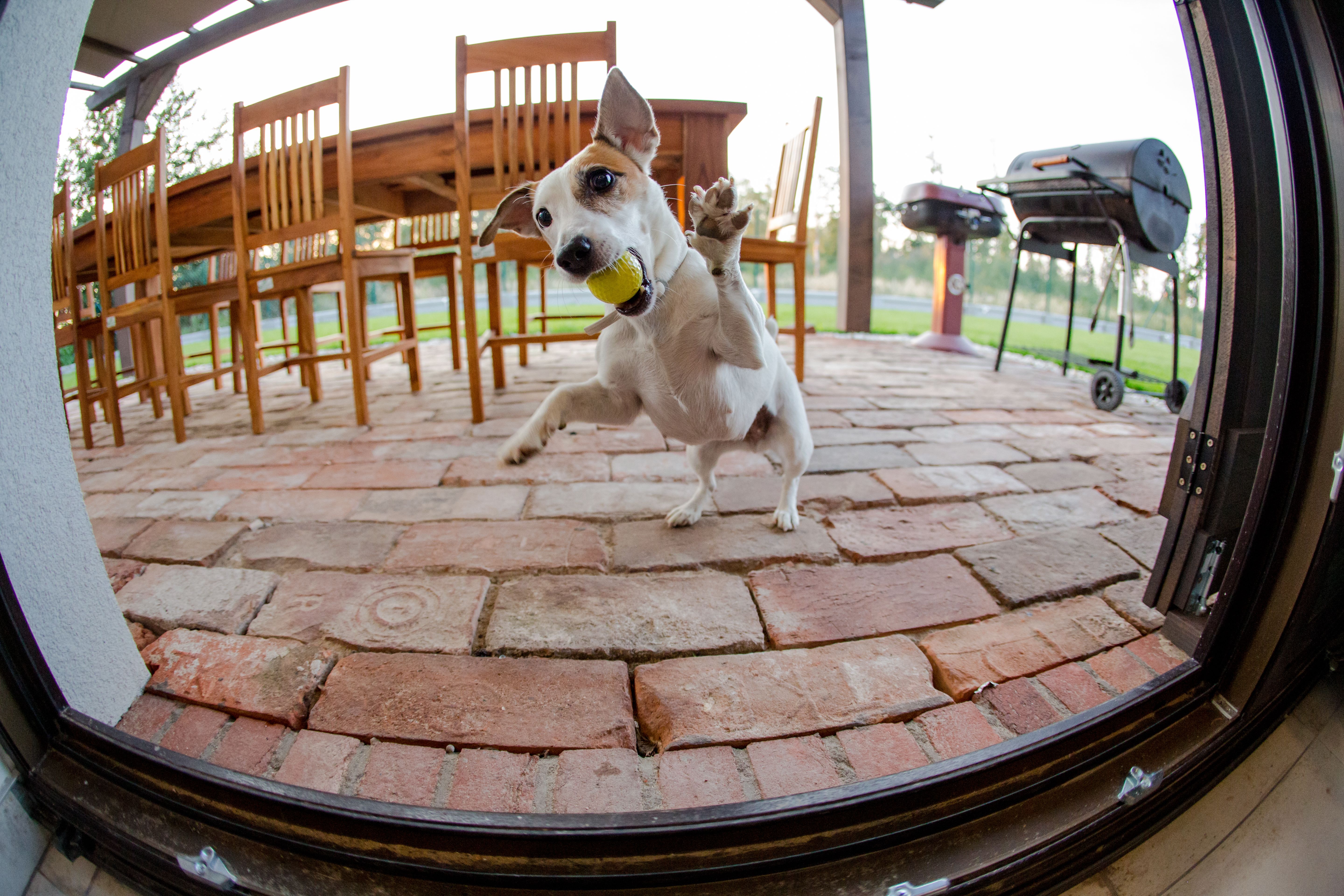 Rekreačné domy Šajdíkové Humence - Image 15