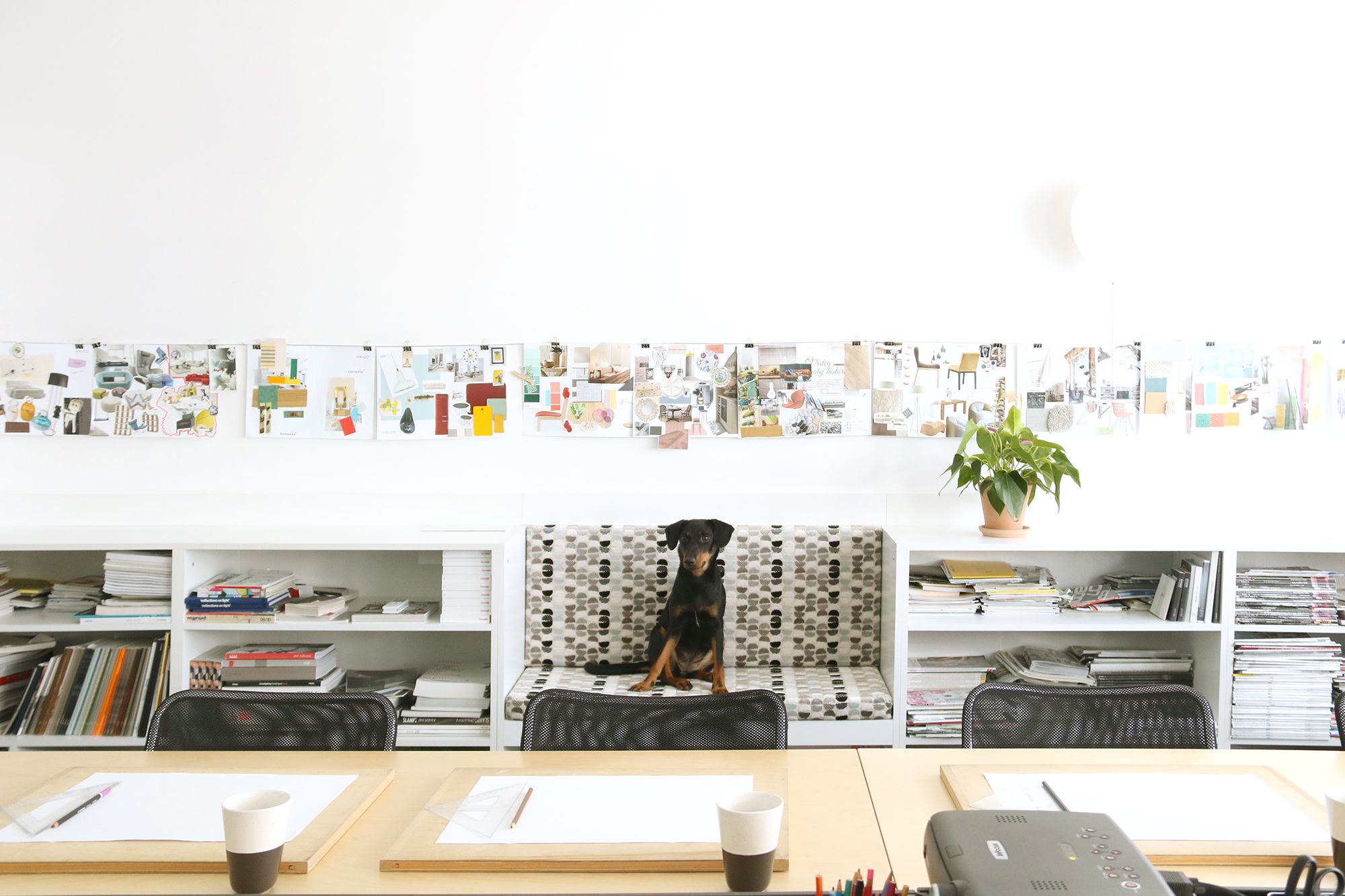 Interiér kancelárií Gajova - Image 17