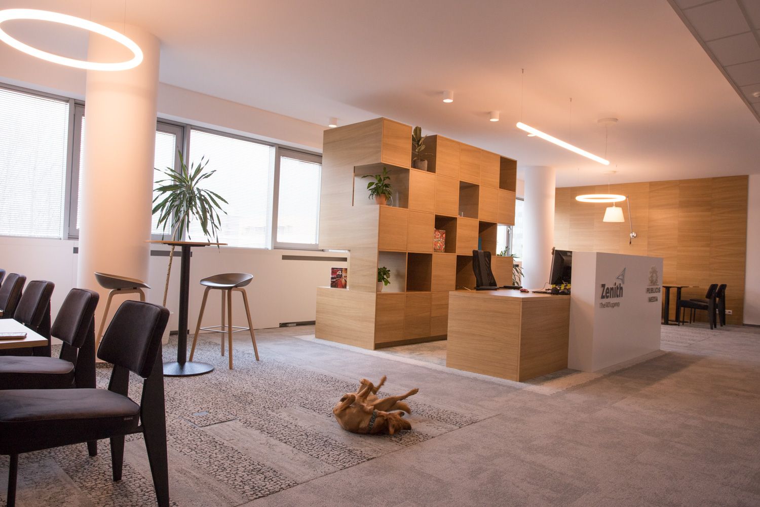 Interiér kancelárií Zenithmedia - Image 14