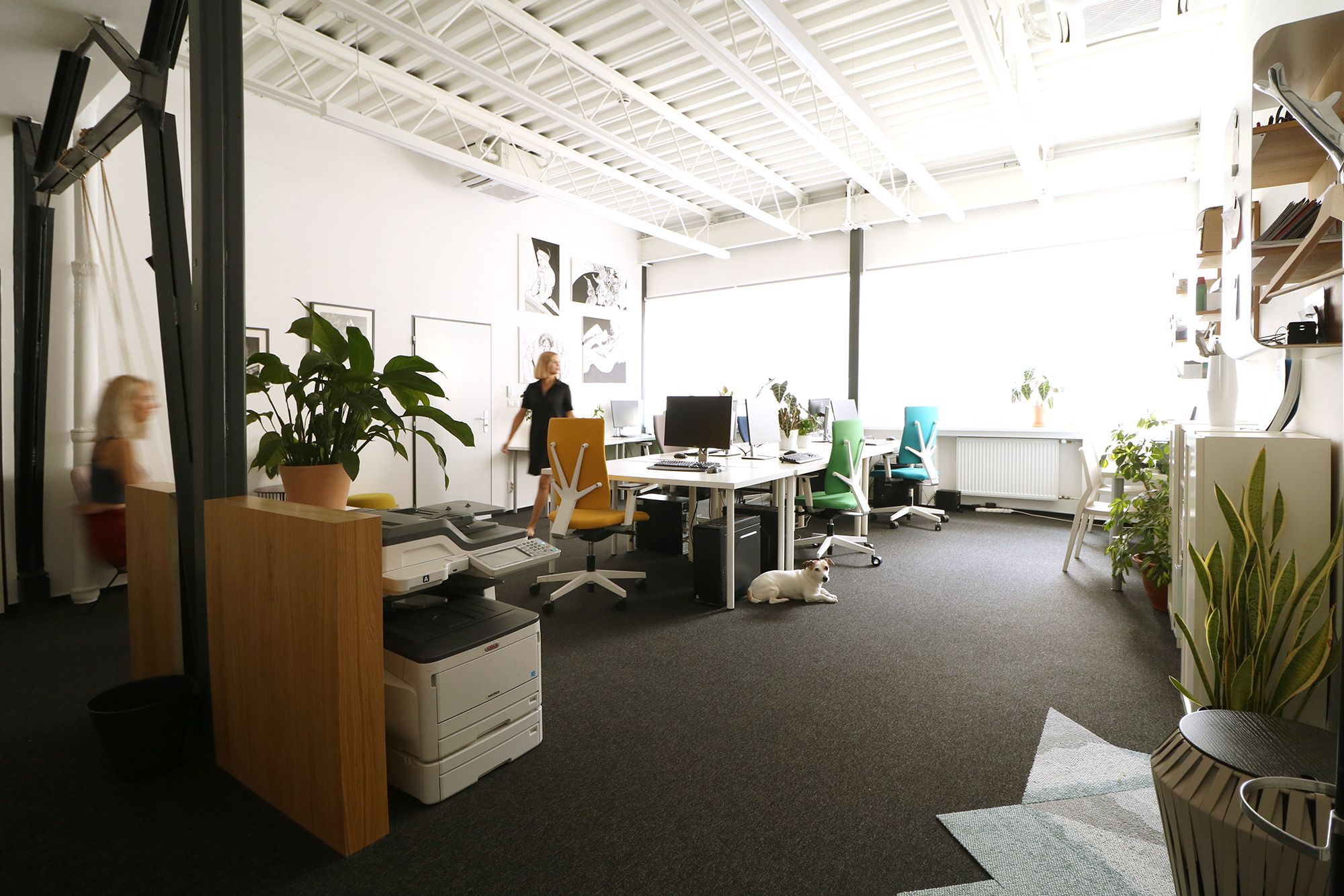 Interiér kancelárií Gajova - Image 1