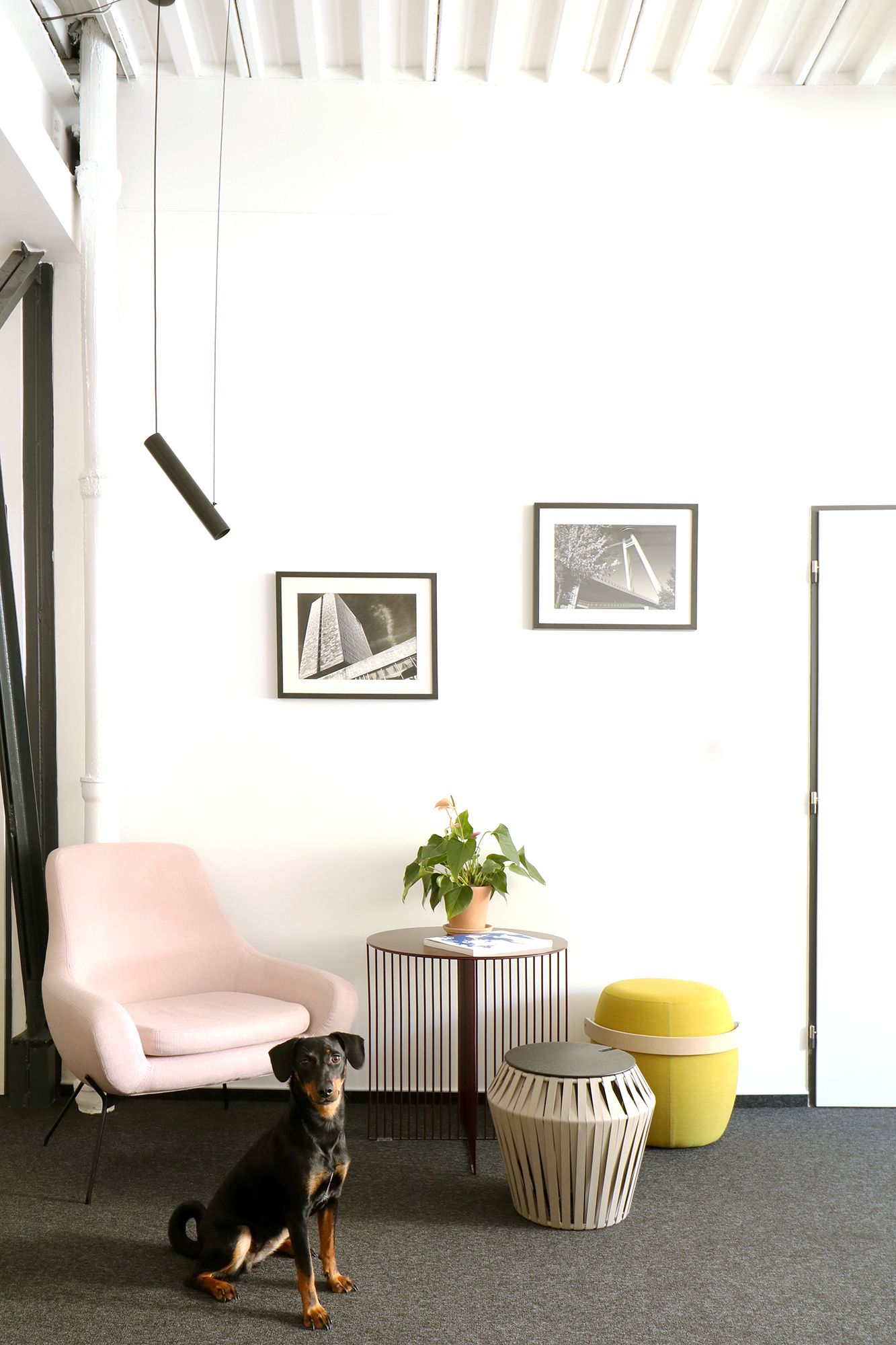 Interiér kancelárií Gajova - Image 2